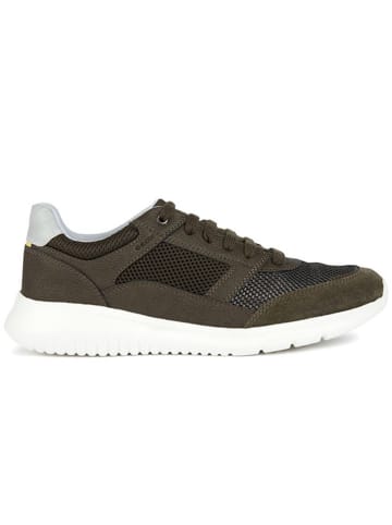 Geox Sneakers "Monreale" in Braun