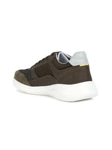 Geox Sneakers "Monreale" bruin