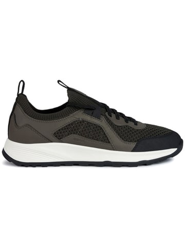 Geox Sneakers "Uterrestre" kaki