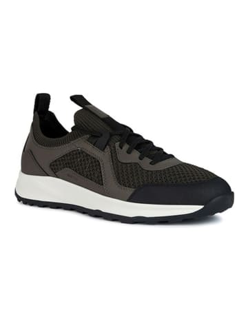 Geox Sneakers "Terrestre" kaki