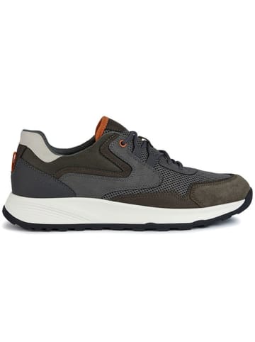Geox Sneakers "Terrestre" groen/grijs