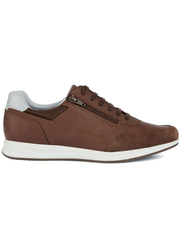 Geox Sneakers "Uavery" lichtbruin