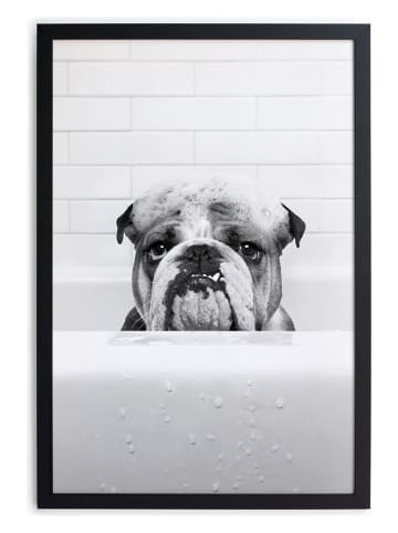 Really Nice Things Druk artystyczny "Bulldog in tub" w ramce - 30 x 40 cm