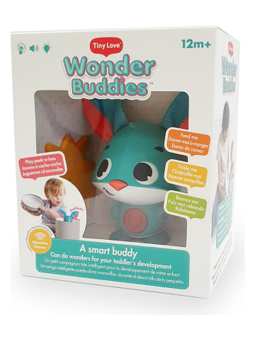 Tiny Love Activity-konijn "Wonder Buddies Thomas" - vanaf 12 maanden