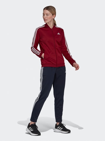 adidas 2-delige trainingsoutfit "3S TR TS" rood/donkerblauw