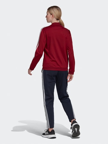 adidas 2-delige trainingsoutfit "3S TR TS" rood/donkerblauw
