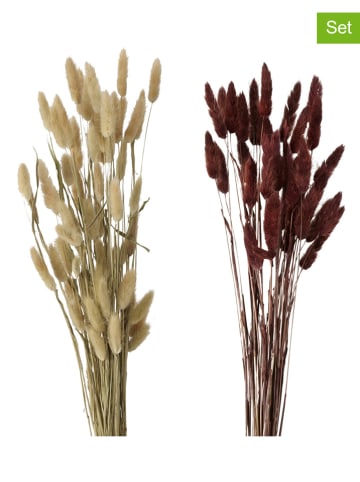 Boltze Dekoracyjne kwiaty (2 szt.) w kolorze beżowym i brązowym