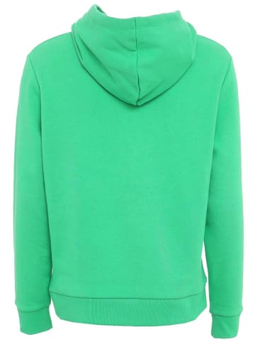 Zwillingsherz Bluza "Tiana" w kolorze zielonym
