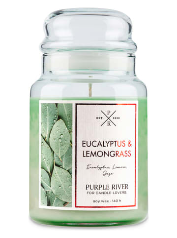 Purple River Duftkerze "Eucalyptus & Lemongrass" in Grün - 623 g