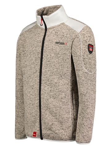 ANAPURNA Fleece vest "Turbine" grijs