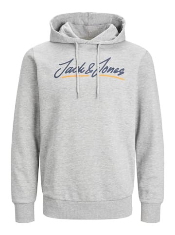 Jack & Jones Hoodie "Tons" in Hellgrau