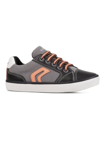 Geox Sneakers "Gisli" antraciet
