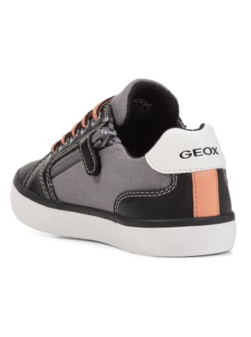 Geox Sneakers "Gisli" antraciet