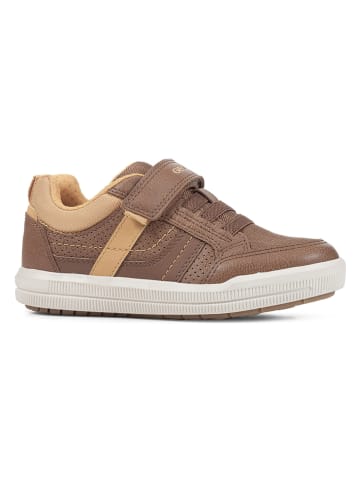 Geox Sneakersy "Arzach" w kolorze jasnobrązowym