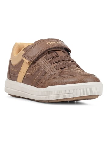 Geox Sneakersy "Arzach" w kolorze jasnobrązowym