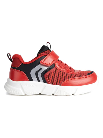 Geox Sneakers "Aril" in Rot