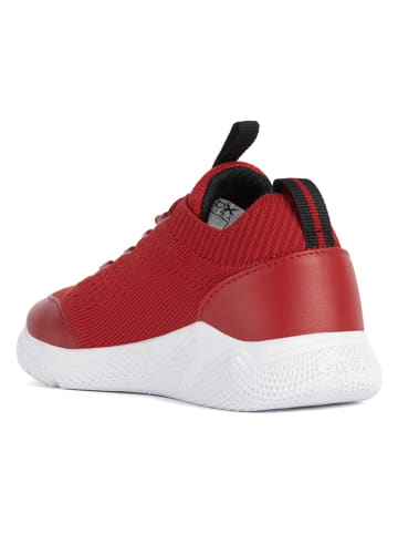 Geox Sneakers "Sprintye" rood