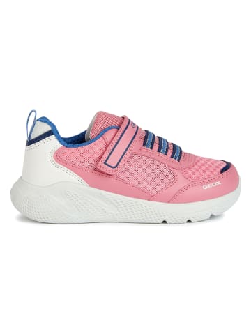 Geox Sneakersy "Sprintye" w kolorze białym