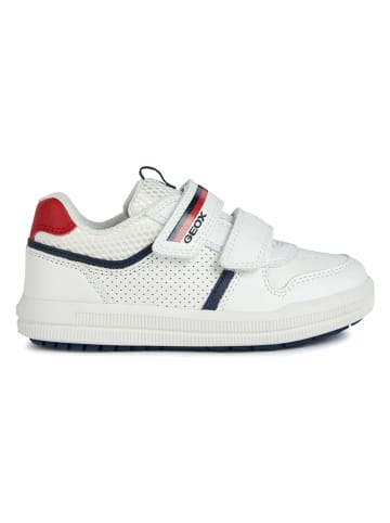 Geox Sneakers "Arzach" in Weiß