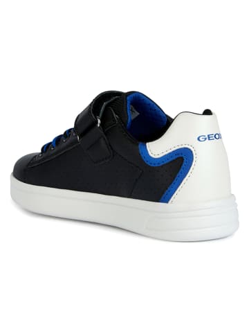 Geox Sneakers "Djrock" in Schwarz