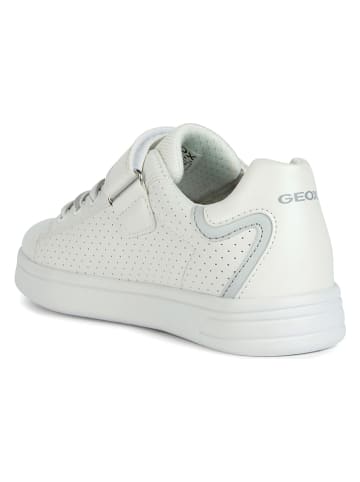 Geox Sneakers "Djrock" wit