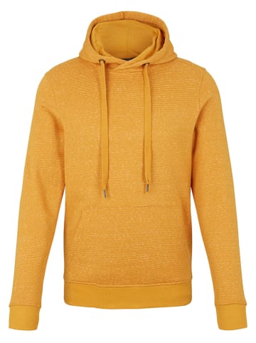 Tom Tailor Hoodie in Orange