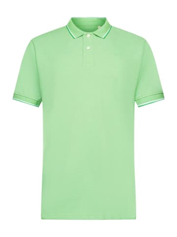 ESPRIT Koszulka polo w kolorze zielonym