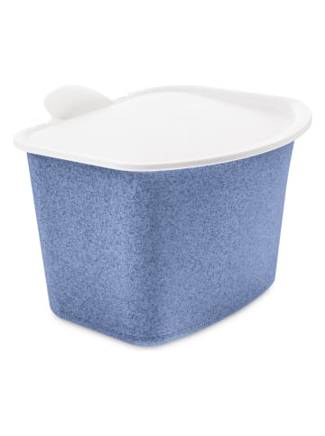 koziol Lunchbox "Bibo" wit/blauw - (L)22,5 x (B)20,8 x (H)16 cm