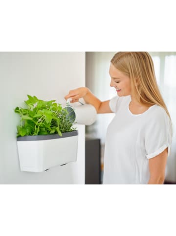 Gusta Garden Kräutertopf "Harry Herbs" in Weiß - (B)35,8 x (H)25 x (T)16 cm