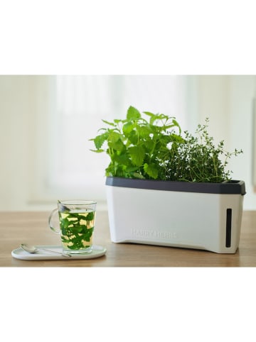 Gusta Garden Doniczka "Harry Herbs" w kolorze białym na zioła - 35,8 x 25 x 16 cm