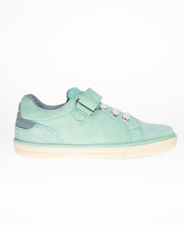 Ciao Leder-Sneakers in Mint