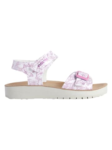 Geox Sandalen "Costarei" in Lila/ Weiß