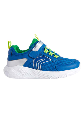 Geox Sneakers "Sprintye" blauw