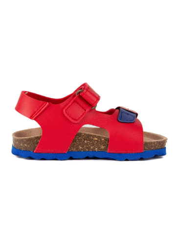 billowy Sandalen in Rot/ Dunkelblau