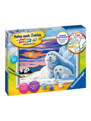 Ravensburger Malen nach Zahlen-Set "Niedliche Robben" - ab 9 Jahren