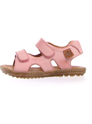 Naturino Leder-Sandalen "Sky" in Rosa