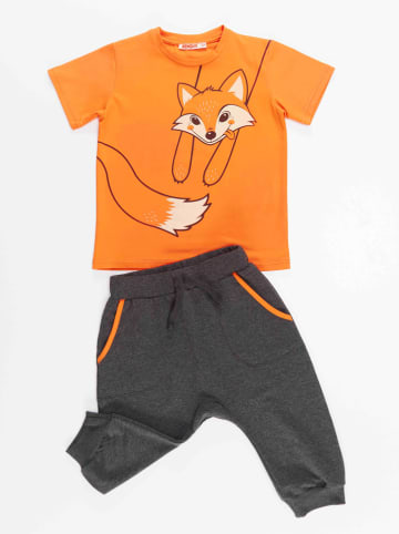 Denokids 2-delige outfit "Orange Fox" oranje/grijs