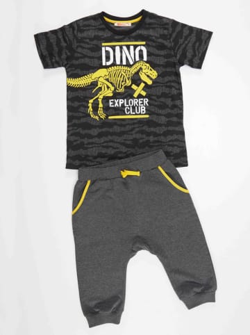 Denokids 2-delige outfit "Dino" grijs