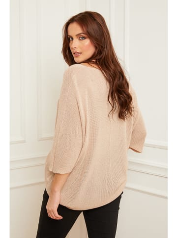 Plus Size Company Pullover in Beige