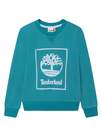 Timberland Bluza w kolorze turkusowym