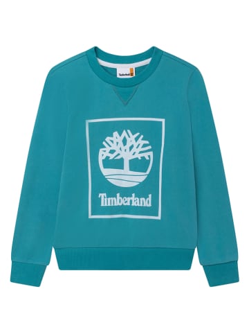 Timberland Sweatshirt in Türkis