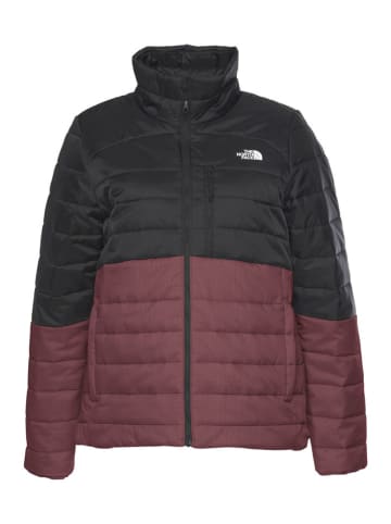The North Face Steppjacke in Bordeaux/ Schwarz