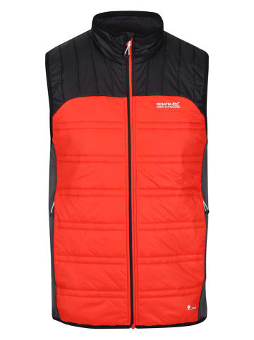 Regatta Steppweste "Halton" in Rot/ Schwarz