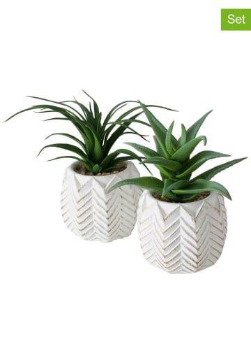 Boltze 2-delige set: kunstplanten "Aloe" groen - (H)14 cm
