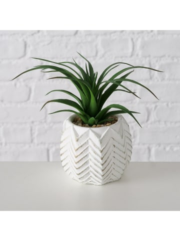 Boltze Sztuczne rośliny (2 szt.) "Aloe" w kolorze zielonym - wys. 14 cm
