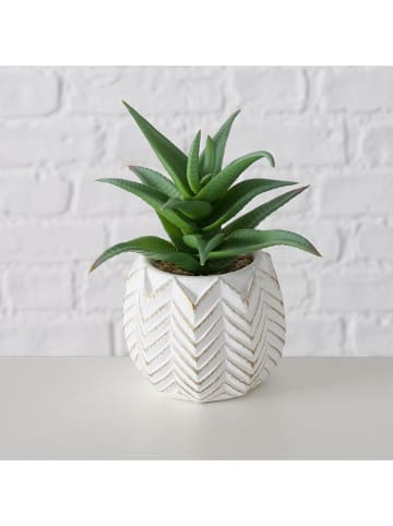 Boltze Sztuczne rośliny (2 szt.) "Aloe" w kolorze zielonym - wys. 14 cm