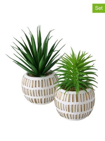 Boltze 2-delige set: kunstplanten "Aloe" groen - (H)13 cm