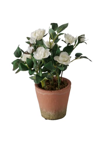 Boltze Kunstpflanze "Rose" in Weiß - (H)24 cm