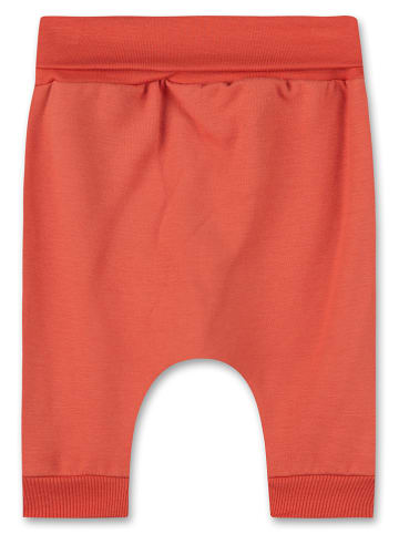 Sanetta Kidswear Sweatbroek oranje