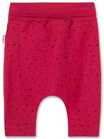 Sanetta Kidswear Spodnie dresowe "Little Birdie" w kolorze różowym